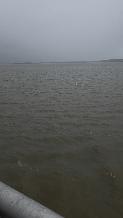 Dealie is heading to the Hill Dickinson early this year