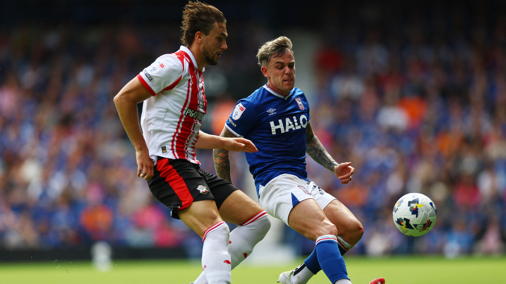 Taylor Harwood-Bellis, Sammie Szmodics