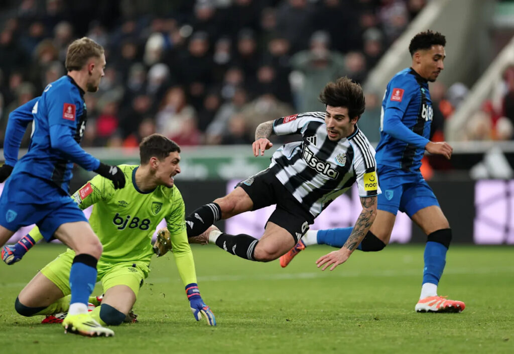 Download app from appStore