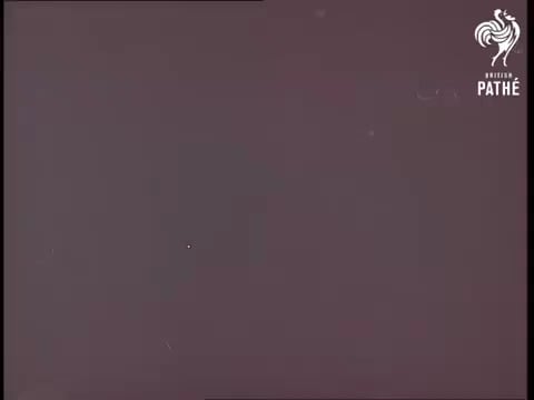 Everton v Sheffield Wednesday. 1966 FA cup final.