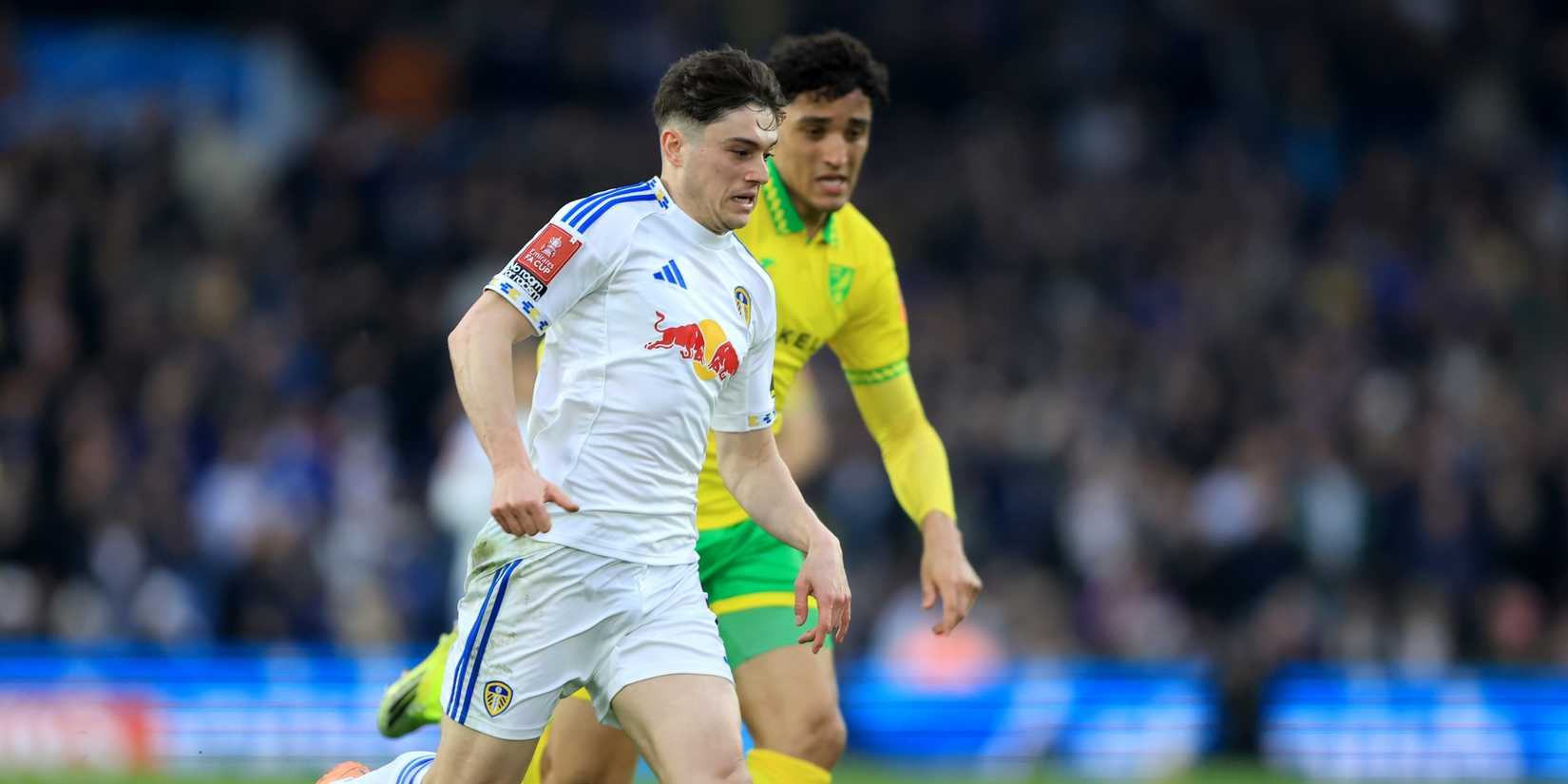 Daniel-James-leeds-norwich