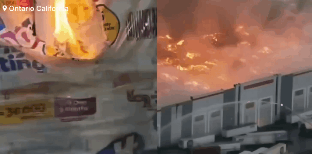 Which one of you guys was that ?