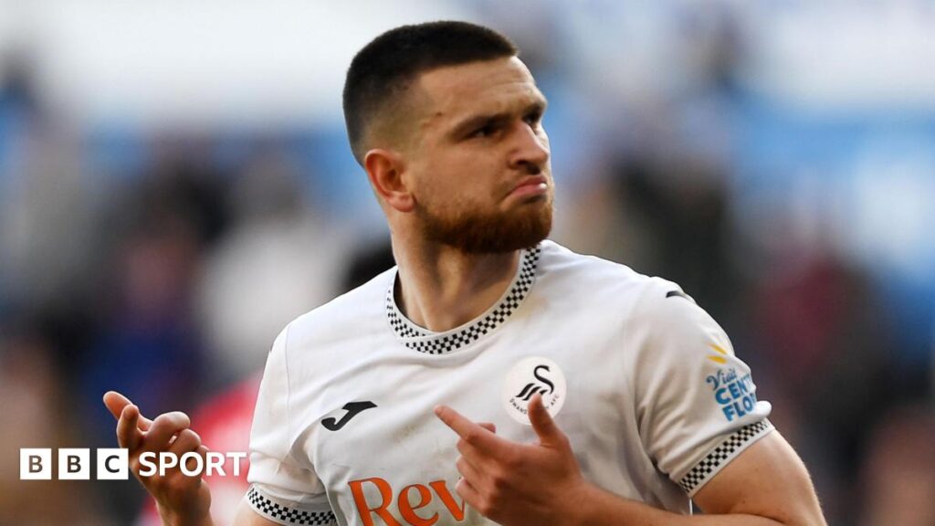 Zan Vipotnik: Swansea City striker says playing in Premier League is his goal
