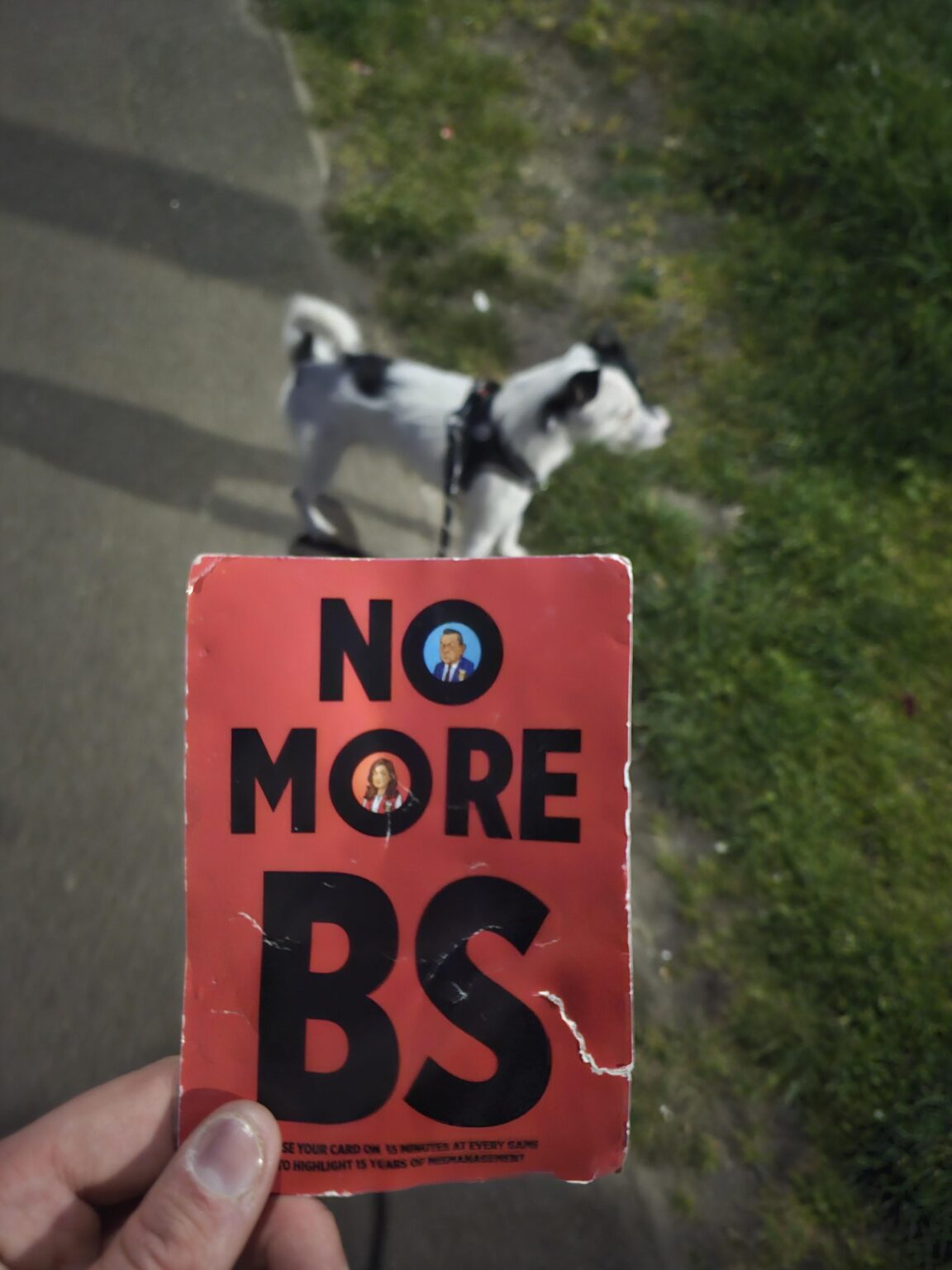 Out walking my dog randomly saw this laying in the road.