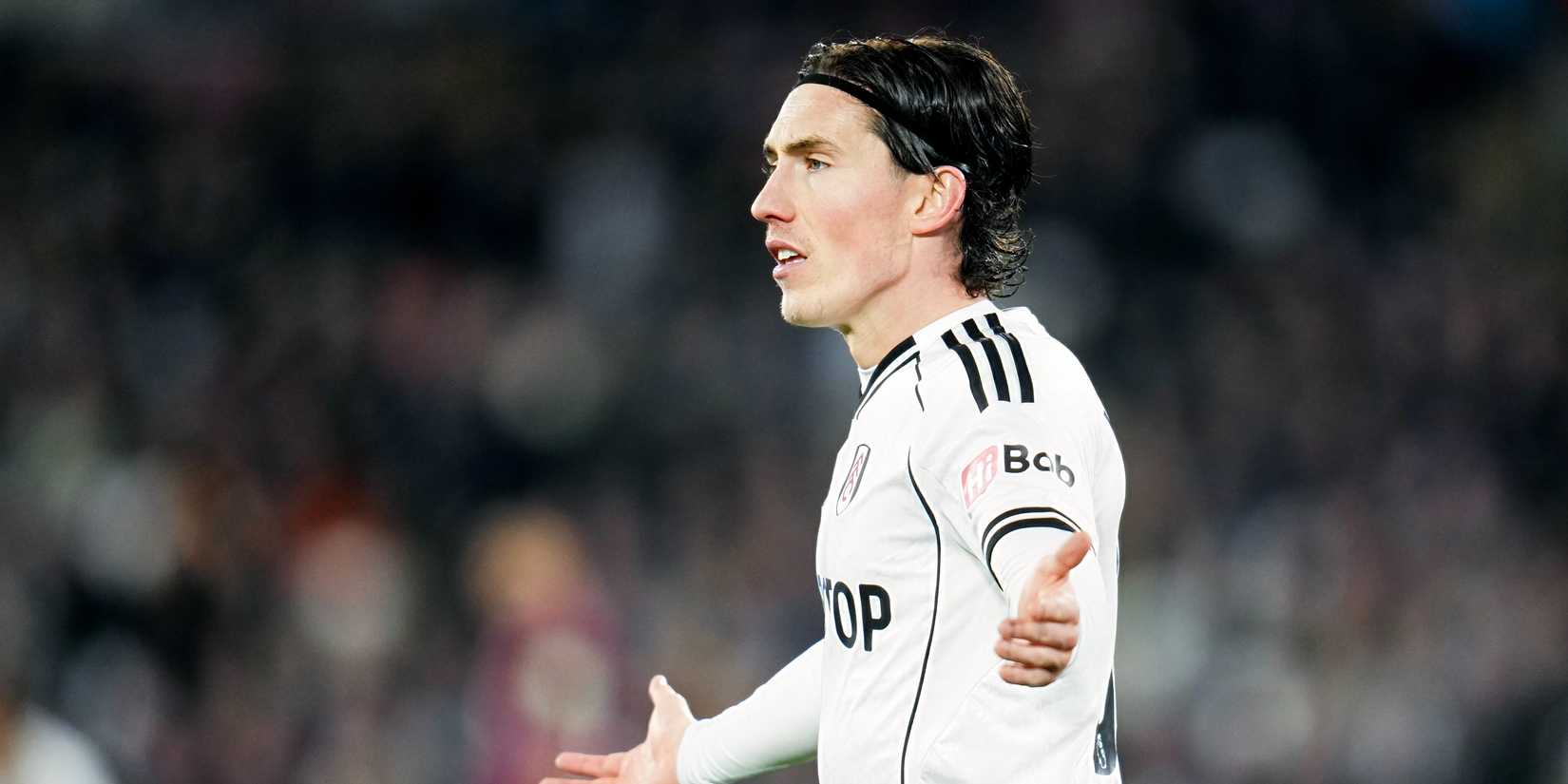 Fulham's Harry Wilson