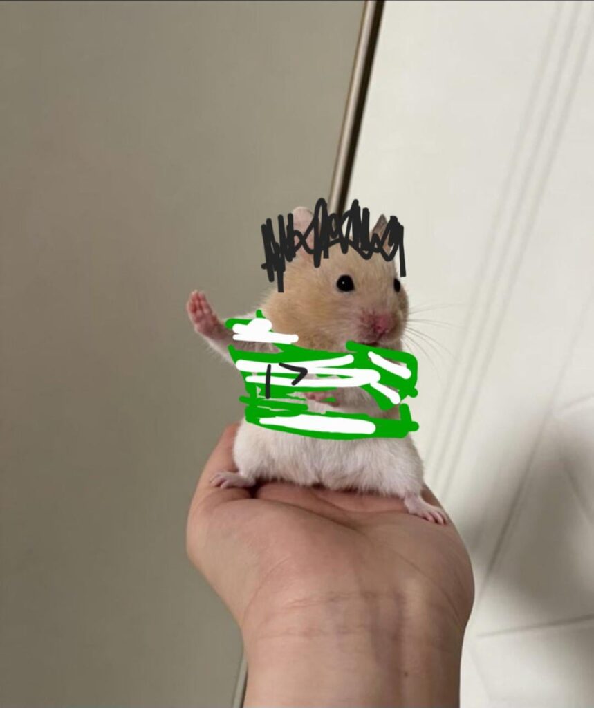 Iheanacho deciding it's time to be elite