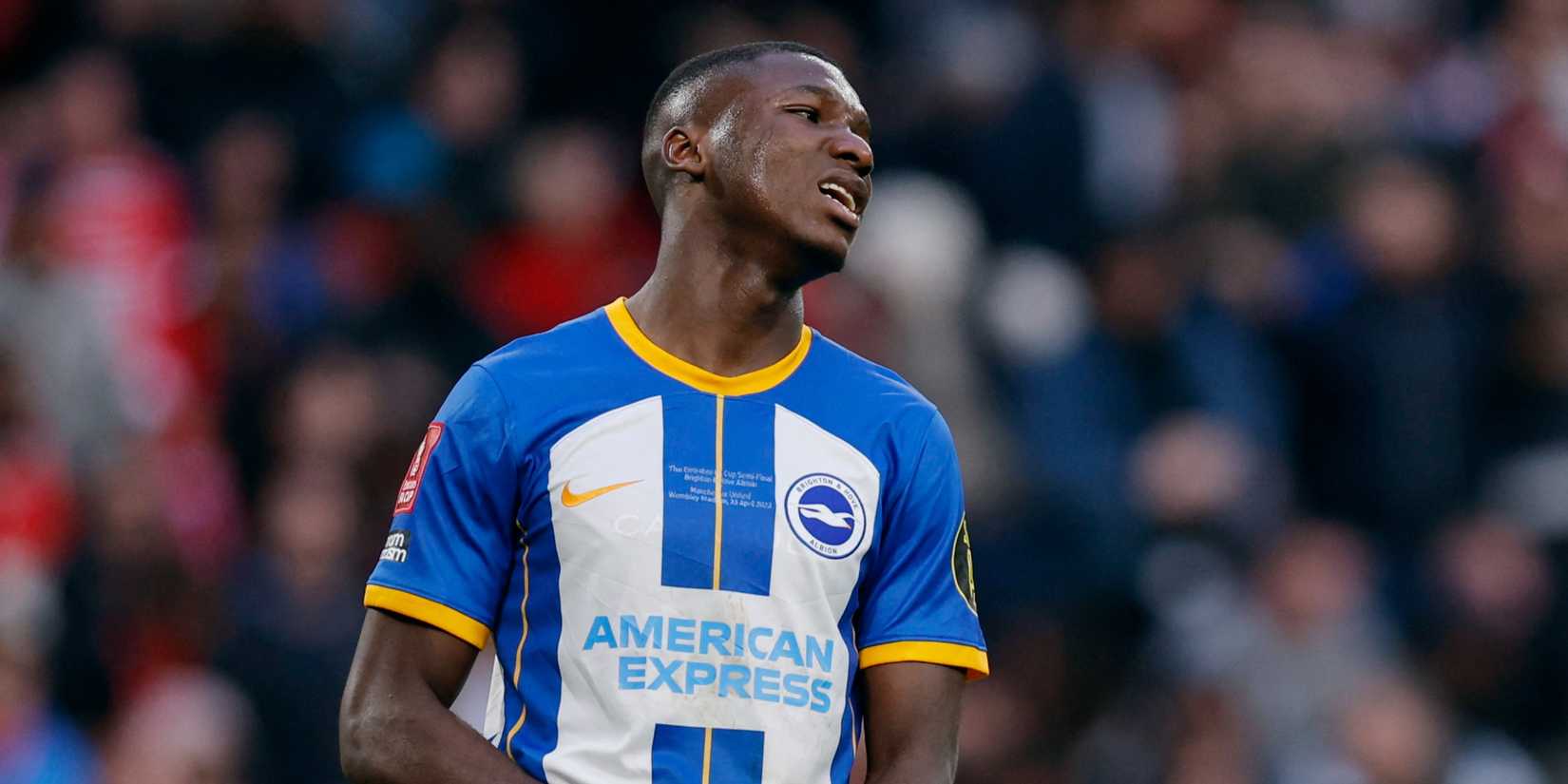 moises-caicedo-chelsea-transfer-gossip-tottenham-hotspur-postecoglou-conor-gallagher