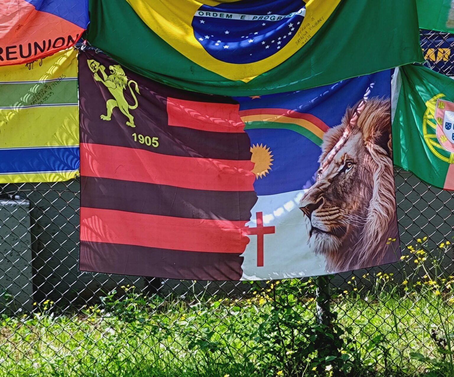Gringo não consegue compreender a vexilologia do leão do psi.