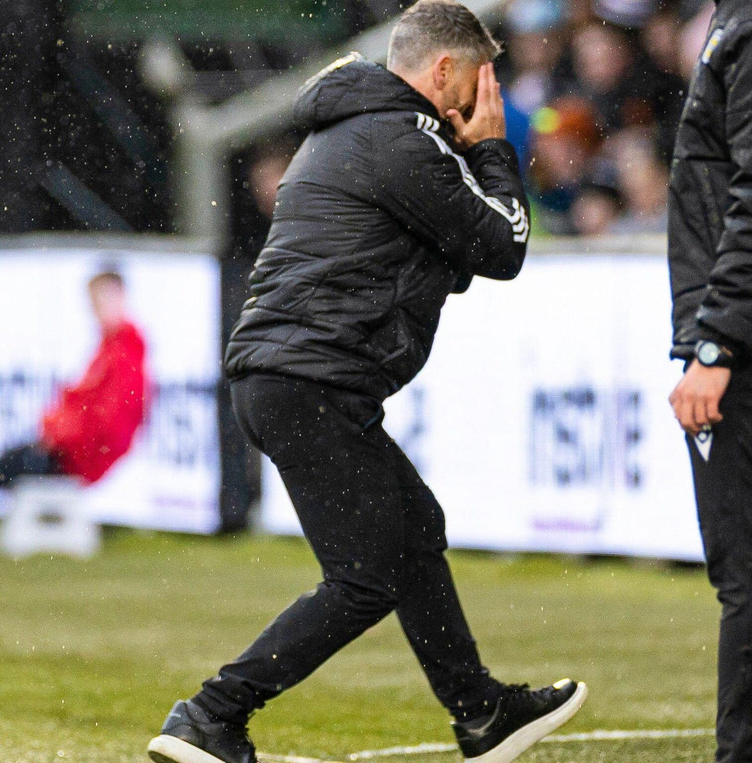 Absolutely beautiful