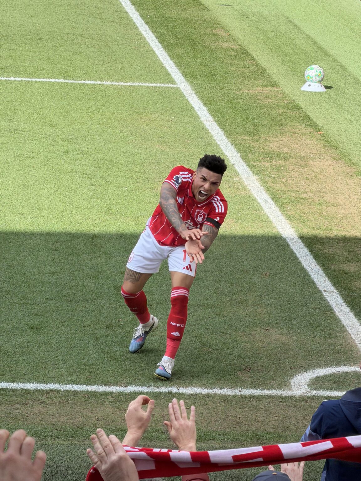 Snapped this yesterday