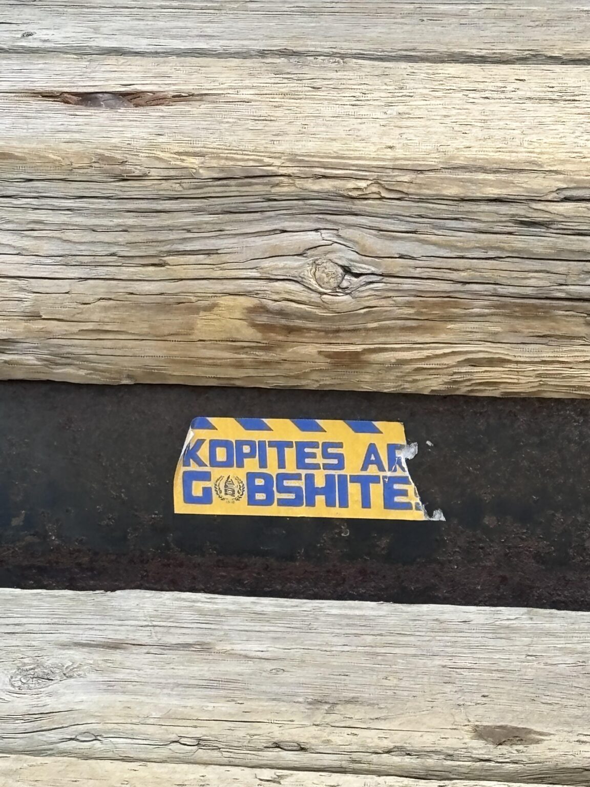 Spotted at the top of Sulphur Mountain in Banff, Canada