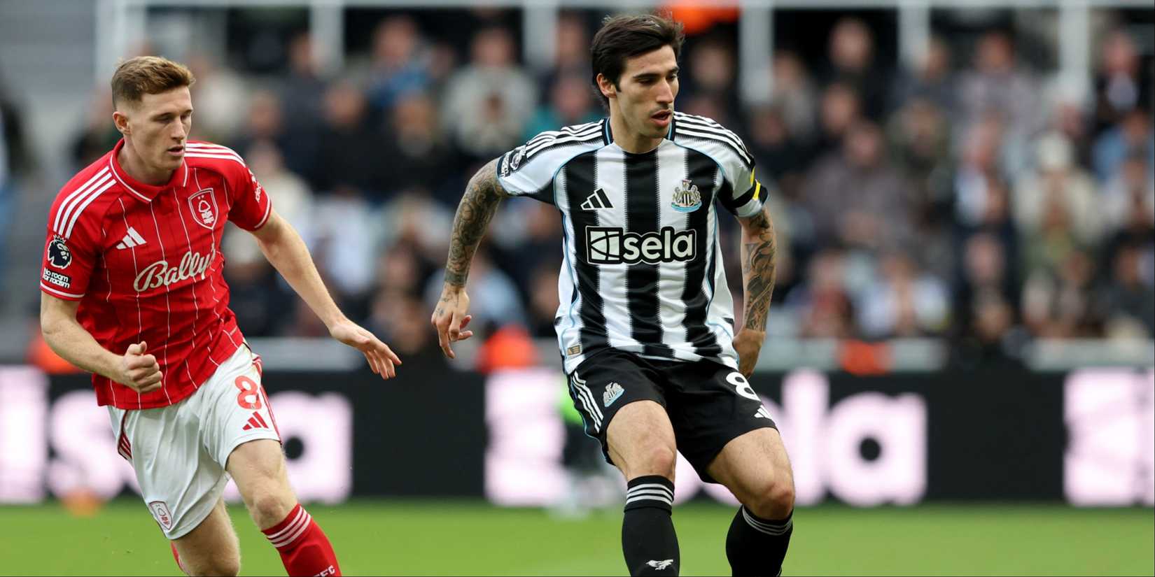 Tonali-Anderson-Newcastle-Forest