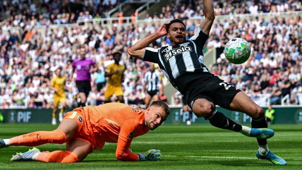 Newcastle United transfer priority underlined but Brighton star failed audition