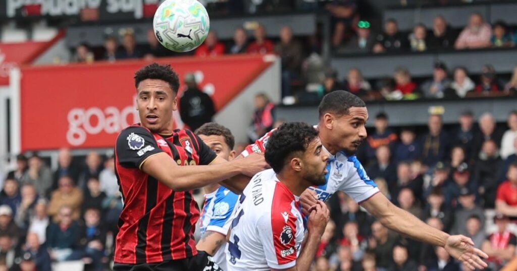 James Hill hails AFC Bournemouth for impressive Palace win