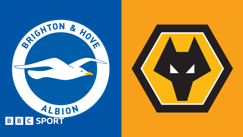 Brighton & Hove Albion vs Wolverhampton Wanderers: Premier League preview, team news, stats & head-to-head