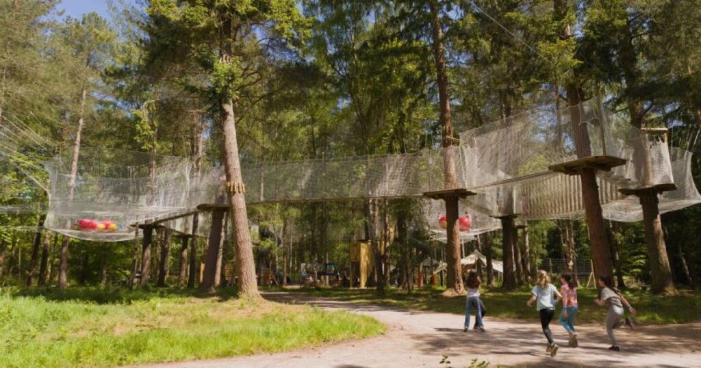 Residents could be priced out of visiting Moors Valley