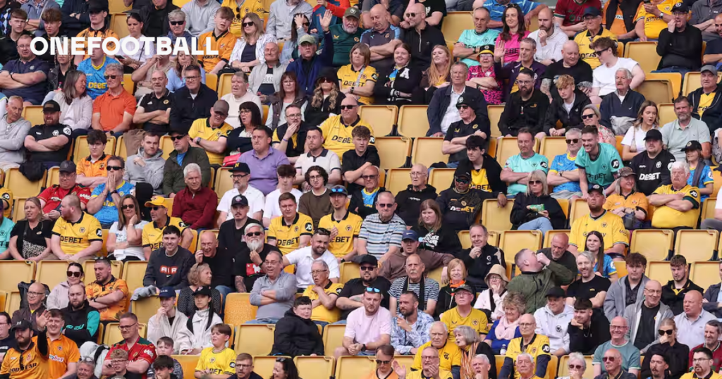 Wolves issue statement on inspections and repairs after fan hit by falling metal in Premier League draw