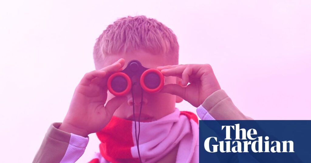 Middlesbrough demand Southampton are expelled from playoffs over spying | Middlesbrough Middlesbrough demand Southampton are expelled from playoffs over spying
