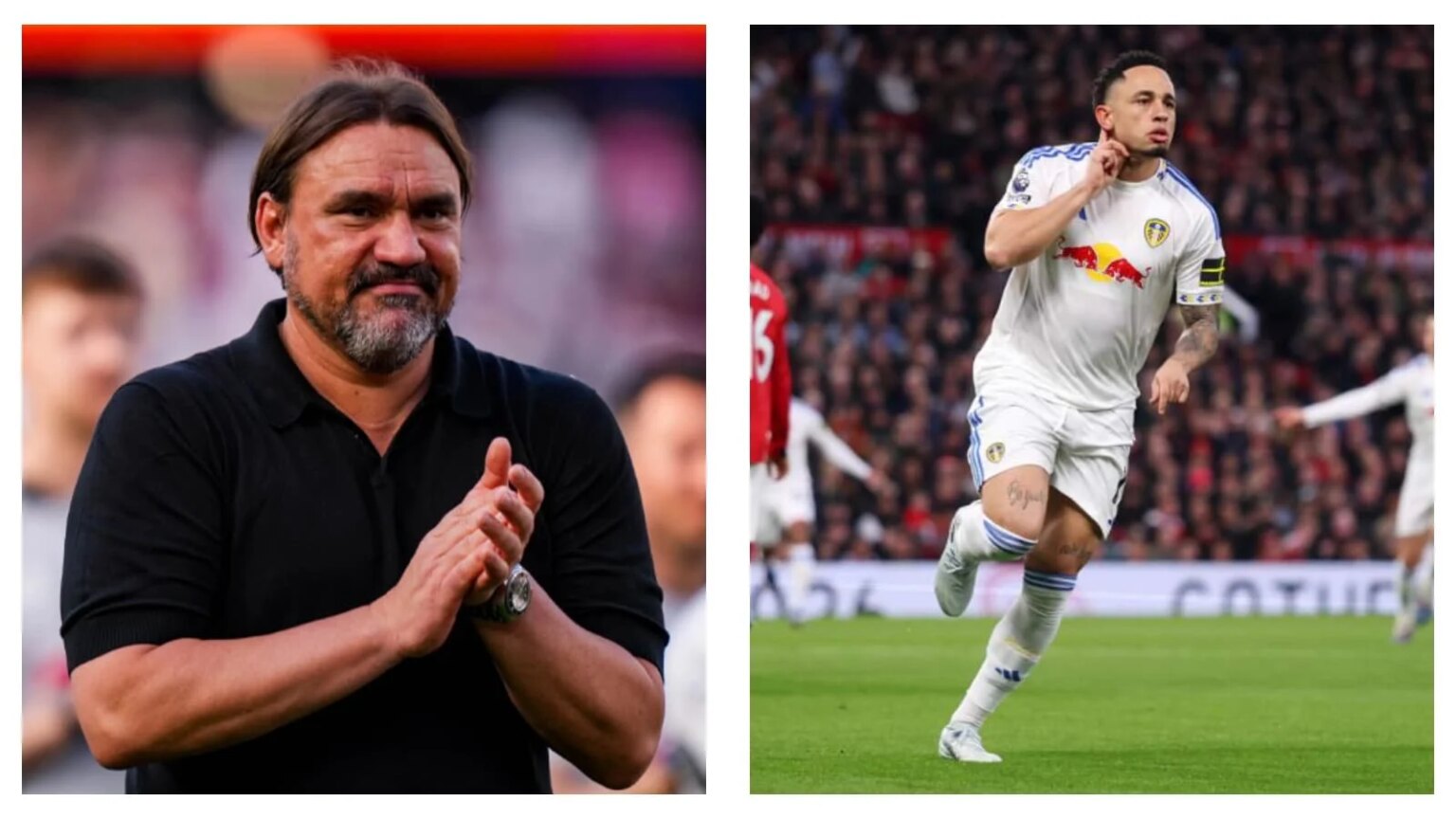 Premier League news: Five key factors that helped Daniel Farke and Leeds United avoid relegation — Sports News Blitz Premier League news: Five key factors that helped Daniel Farke and Leeds United avoid relegation — Sports News Blitz