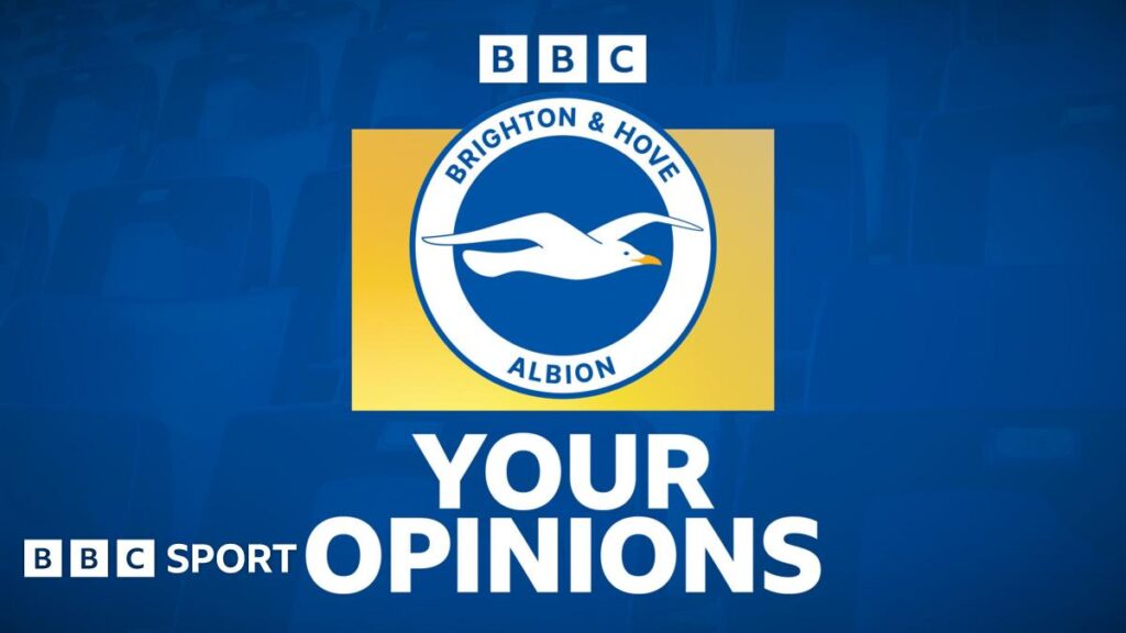Brighton news: Fan views on Fabian Hurzeler's new long-term contract