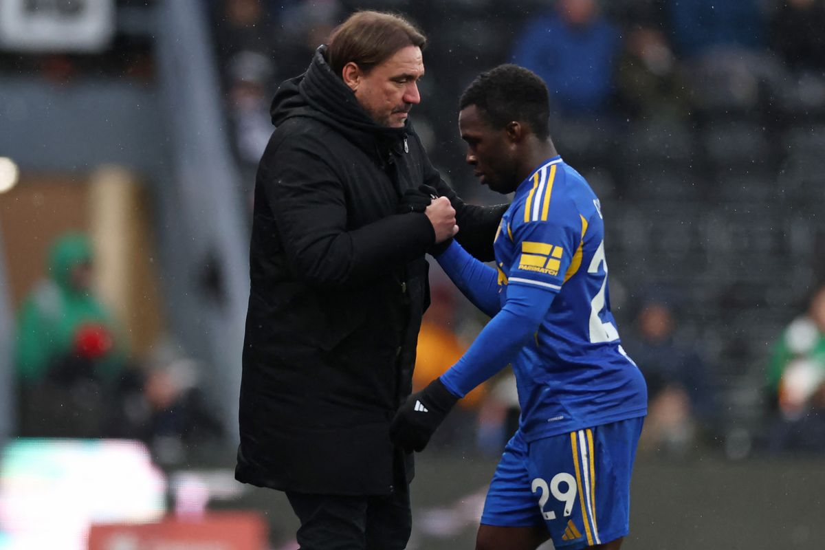 Wilfried Gnonto has struggled for game time