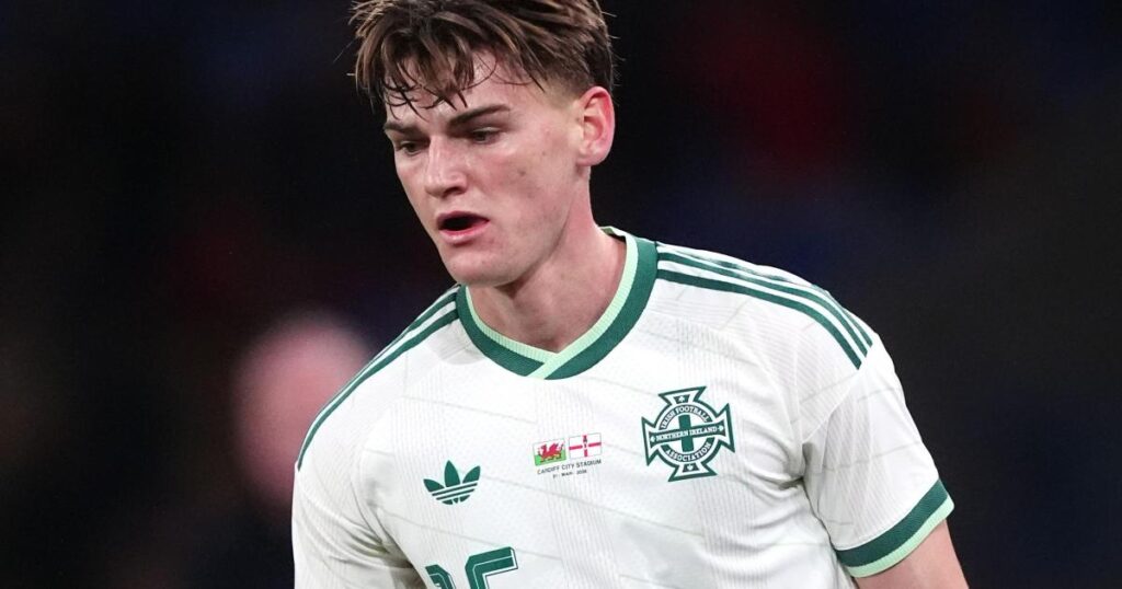 Justin Devenny keen to impress new Palace boss with Northern Ireland displays