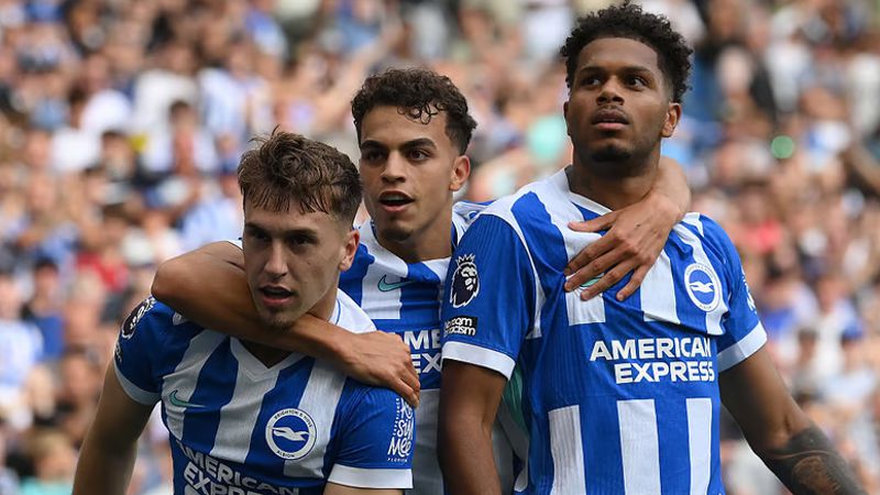 Nike have made Brighton kits since the 2014-15 season but remain an unpopular manufacturer with Albion fans