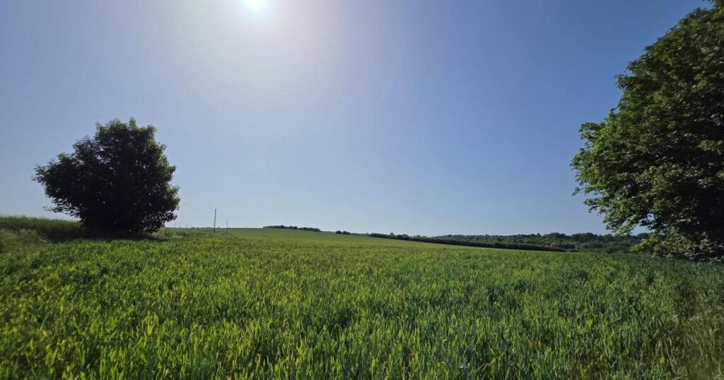 Record highs expected as Southampton to be hotter than Ibiza this week Record highs expected as Southampton to be hotter than Ibiza this week