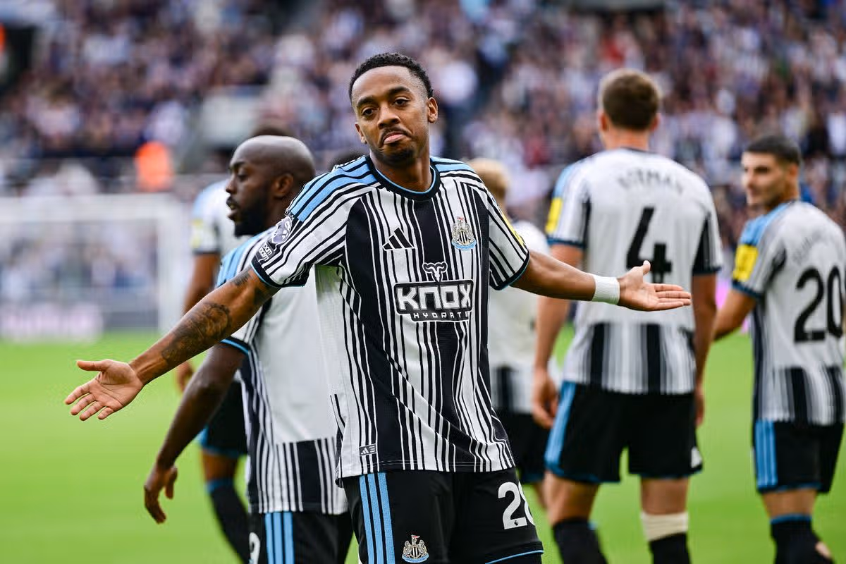Joe Willock of Newcastle United celebrates his goal against Hull City