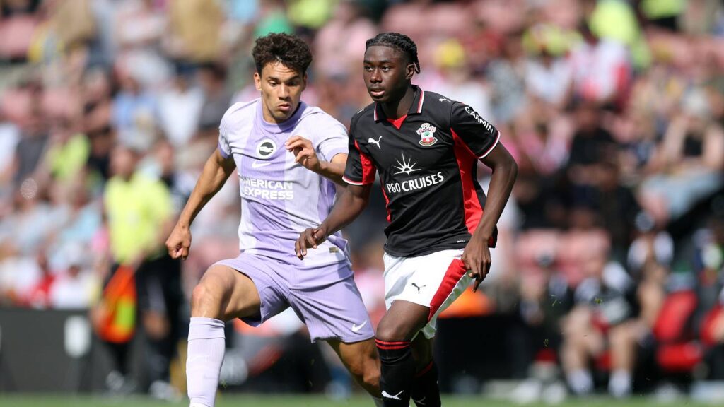 Moses Sesay isn’t the only Southampton prospect fans should be getting excited about Southampton v Brighton & Hove Albion - Pre-Season Friendly